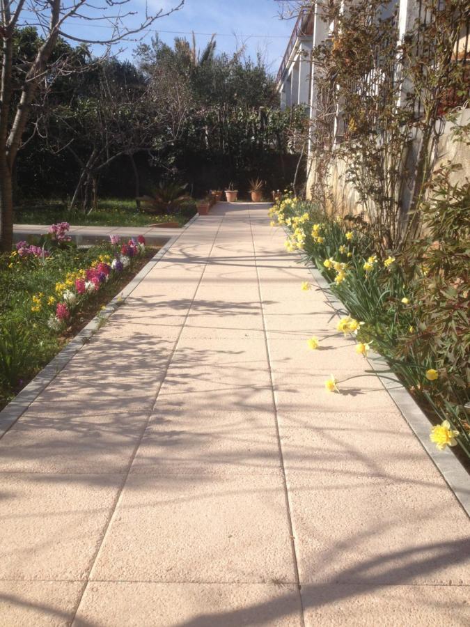 Apartman Plavo More Ζαντάρ Εξωτερικό φωτογραφία